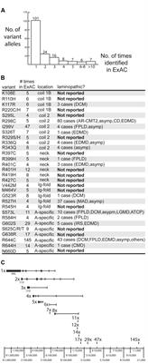 LMNA Sequences of 60,706 Unrelated Individuals Reveal 132 Novel Missense Variants in A-Type Lamins and Suggest a Link between Variant p.G602S and Type 2 Diabetes